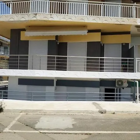First Line פלוגיטה